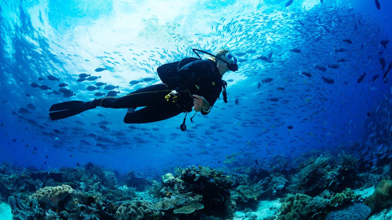 Girl,Scuba,Diver,Diving,On,Tropical,Reef,With,Blue,Background